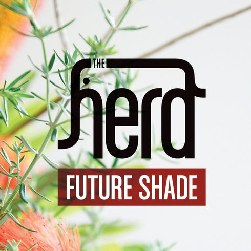 Future Shade (CD)