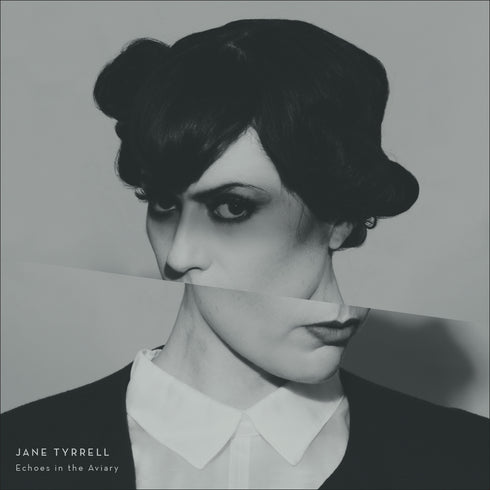 Echoes In The Aviary (Vinyl LP)