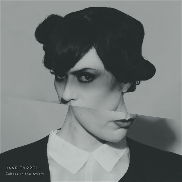 Echoes in the Aviary (CD)